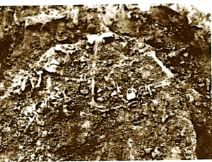 Eshtra të zbuluara në 1993 në Berat, Kostaqi u ekzekutua më 1948, bashke me tre bashkëqytetarë të tjerë